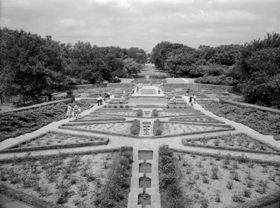 Fort Worth Botanical Gardens rose garden 1956
W.D. Smith Commercial Photography Negatives. The University of Texas at Arlington Library, Special Collections
