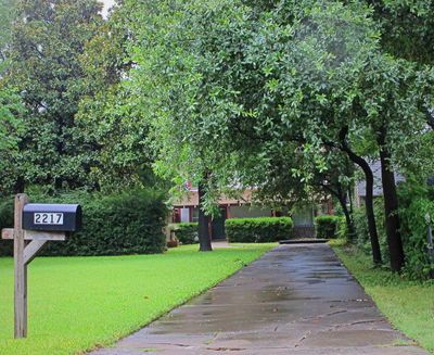 2217 Mistletoe Ave., 2013
Photo by Jim Peipert
