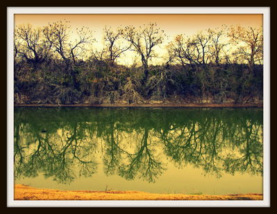 Migrating cormorants on the Trinity River, 2012
Photo by Jim Peipert
