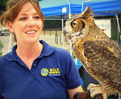 Fort Worth Zoo employee with horned owl, 2013 
Photo by Jim Peipert
