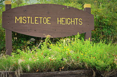 Mistletoe Heights entry sign, Forest Park Boulevard and Rosedale Street, 2013
Photo by Jim Peipert
