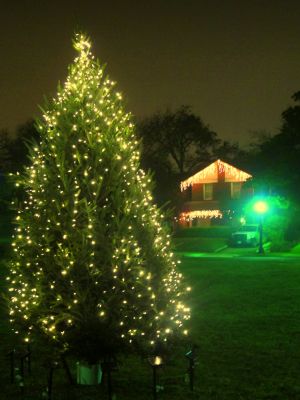 Mistletoe Heights tree in the Triangle, Christmas 2011
