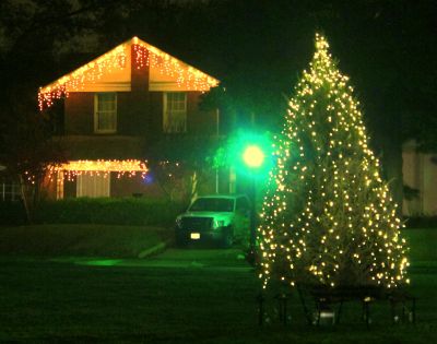 Neighborhood tree in the Triangle, Christmas 2011
