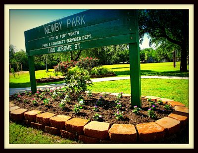New plantings at Newby Park, 2013
