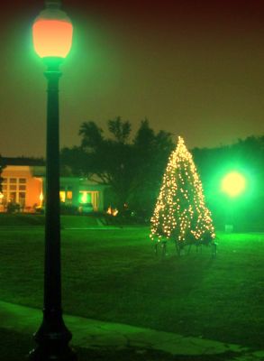 Street light and Christmas tree in the Triangle, Christmas 2011
