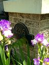 Orchids2C_2205_Harrison_Ave_2C_2013.JPG