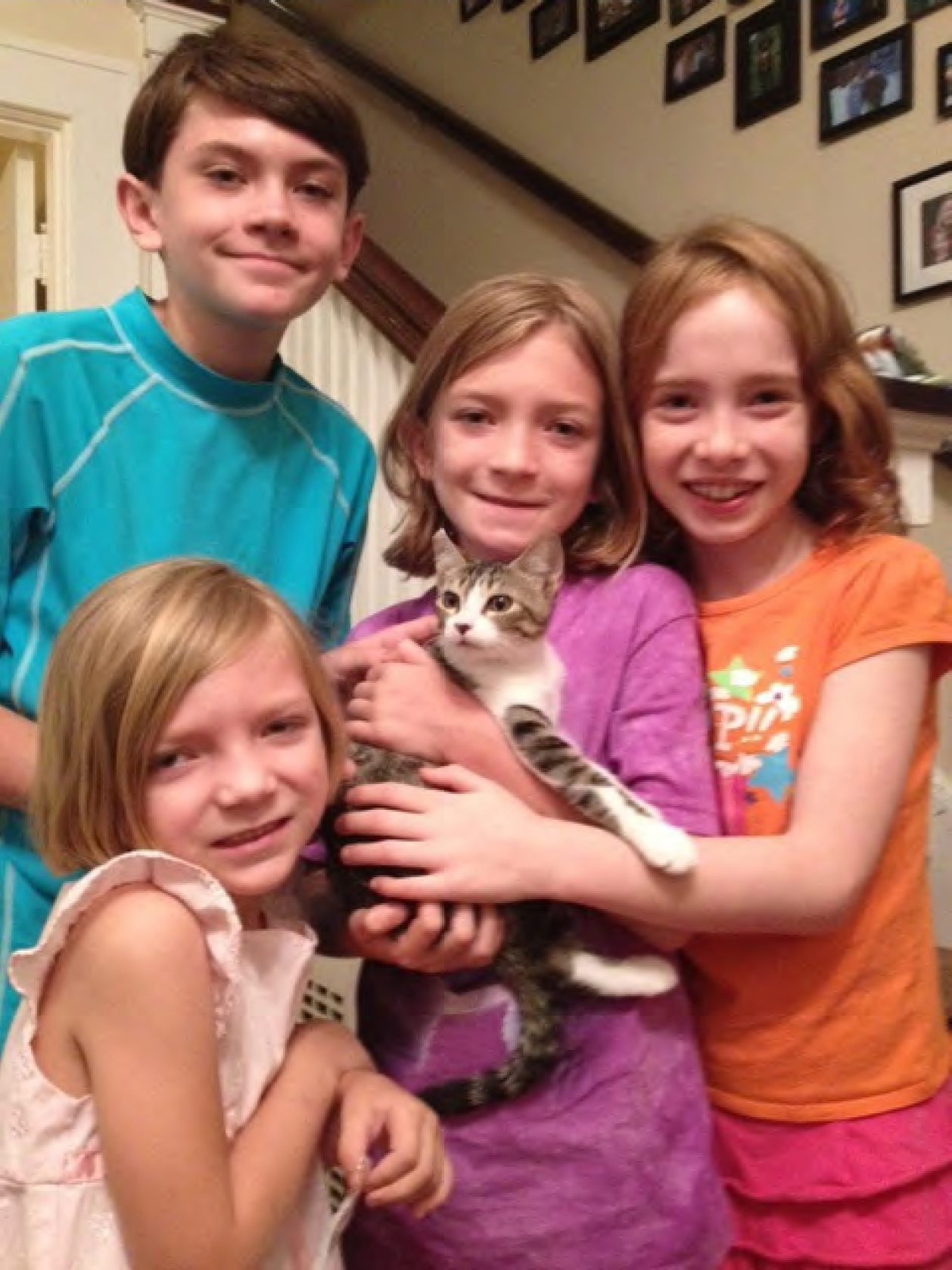 Mistletoe Heights Association