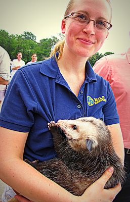 Fort Worth Zoo employee with opossum, 2013 
Photo by Jim Peipert
