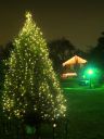 Mistletoe_Heights_tree_in_the_Triangle2C_Christmas_2011.JPG