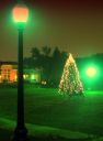 Street_light_and_Christmas_tree_in_the_Triangle2C_Christmas_2011.JPG